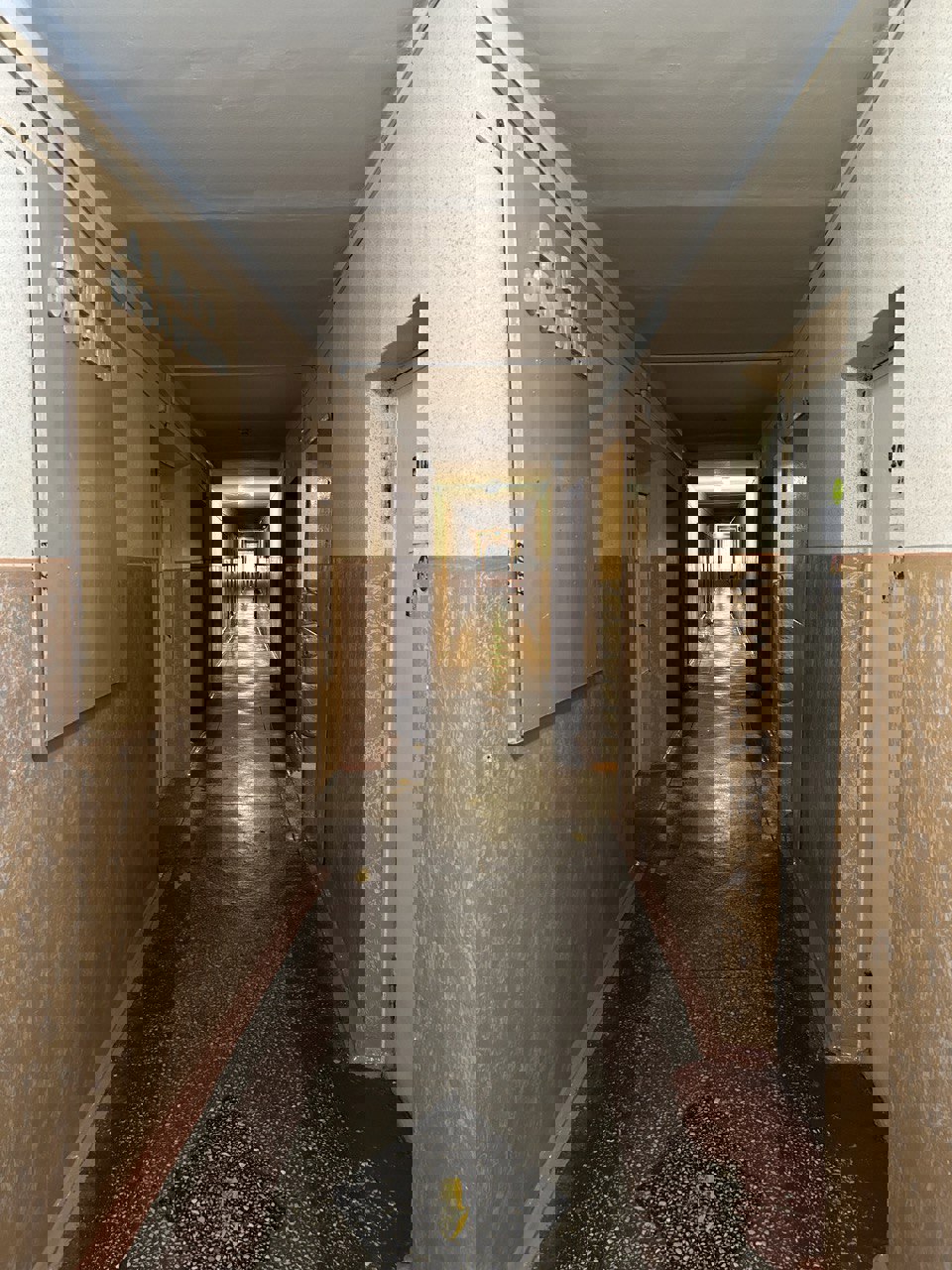 photo_8_2023-06-19_11-06-58