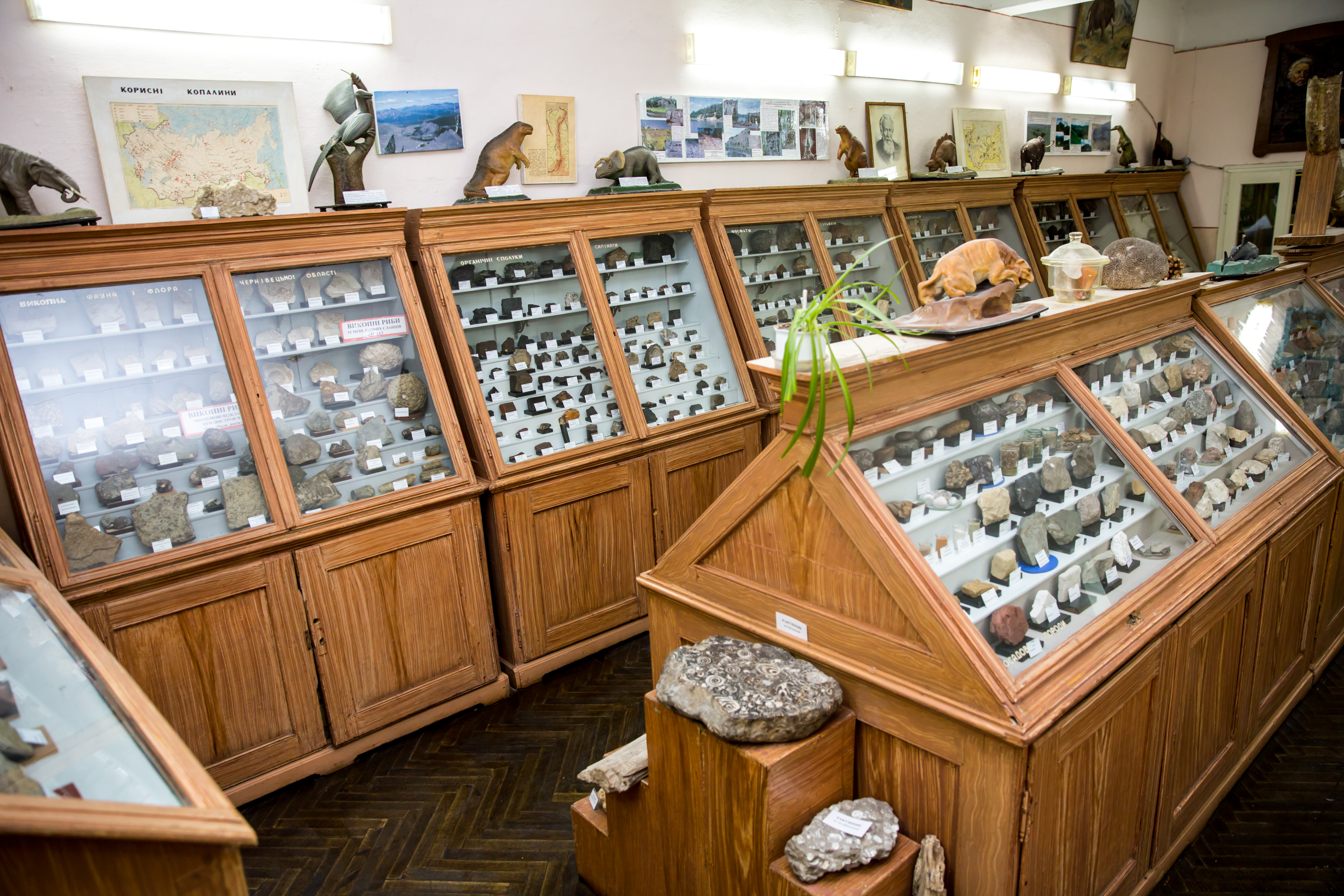 Геолого-географічний відділ