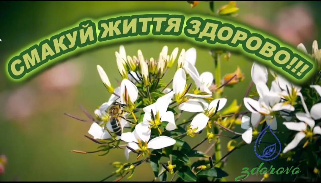 Бізнес-інкубатор