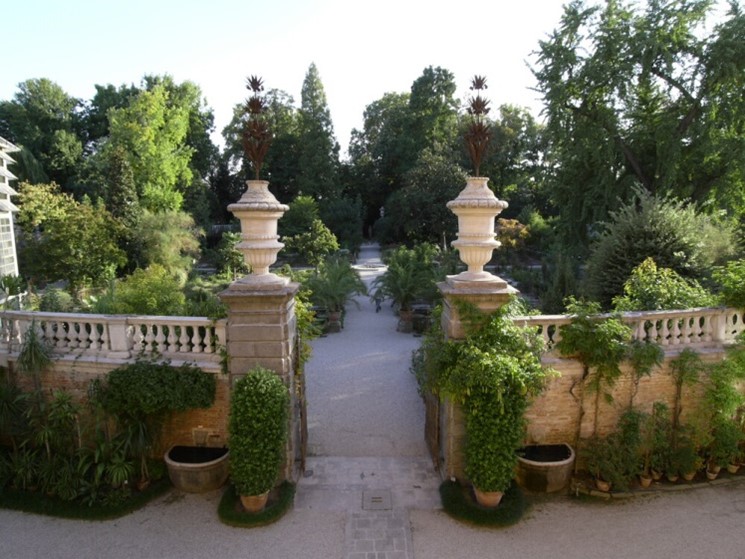 Ботанічний сад  та університет  Падуї, Італія