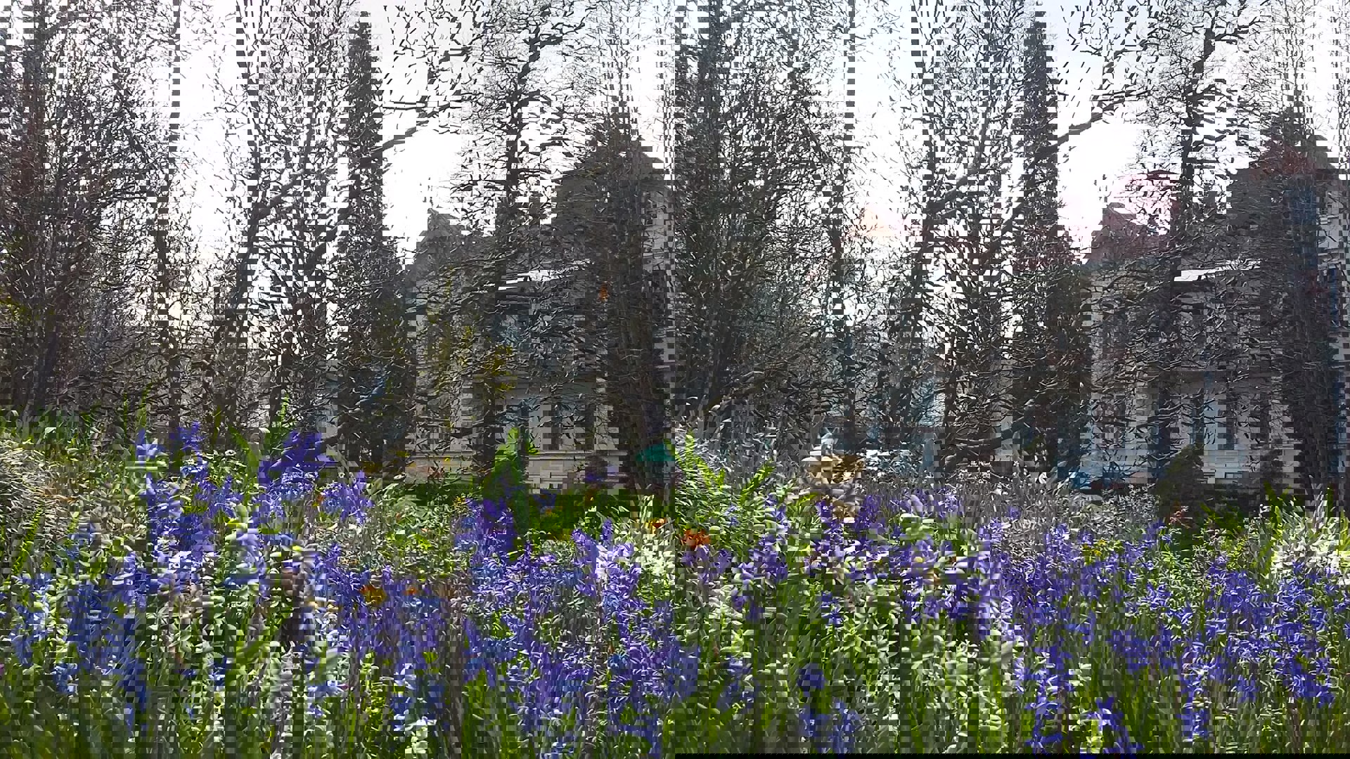 Частинка весняних колекцій рослин