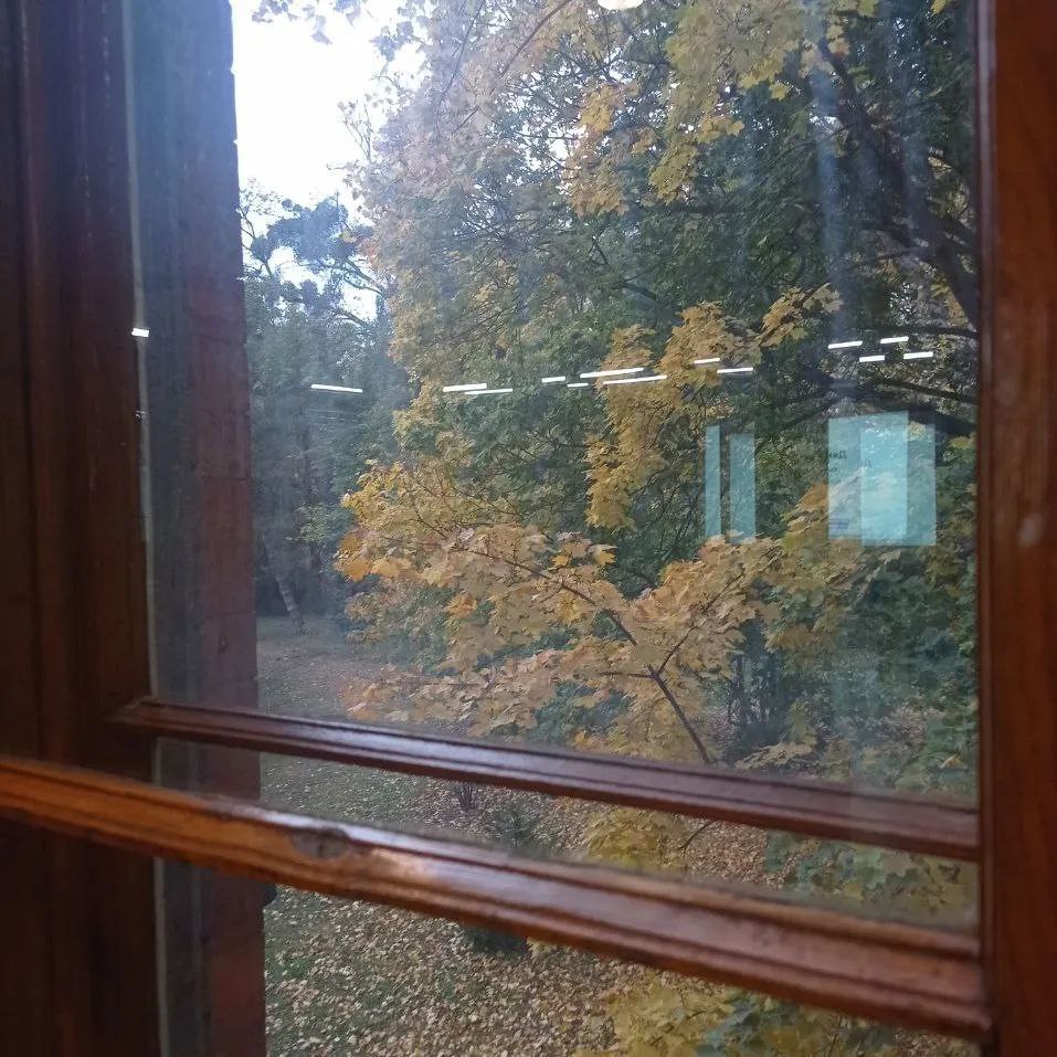 Бізнес-інкубатор