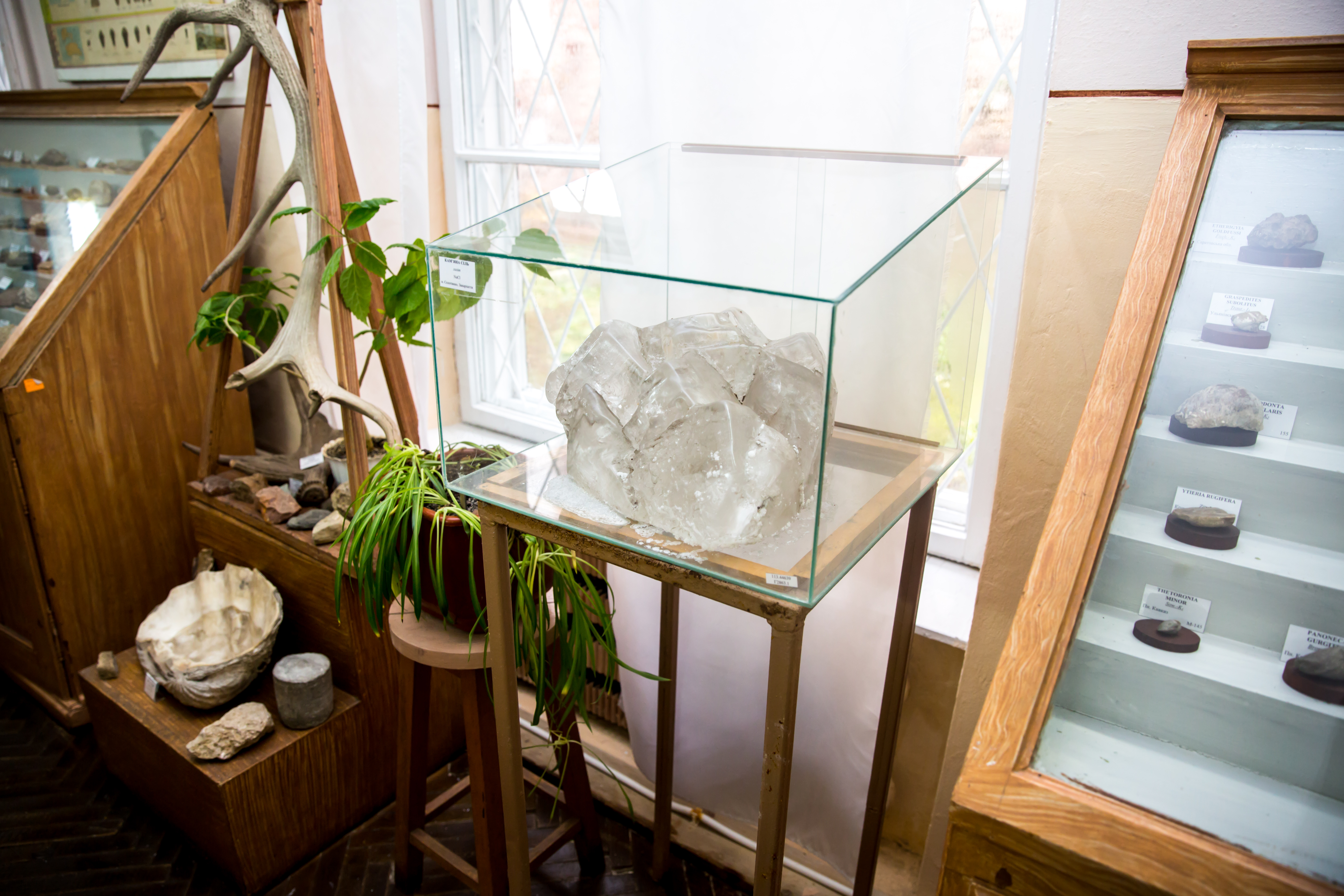 Геолого-географічний відділ