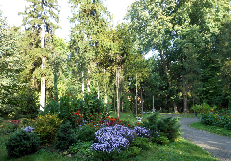 dendropark-3