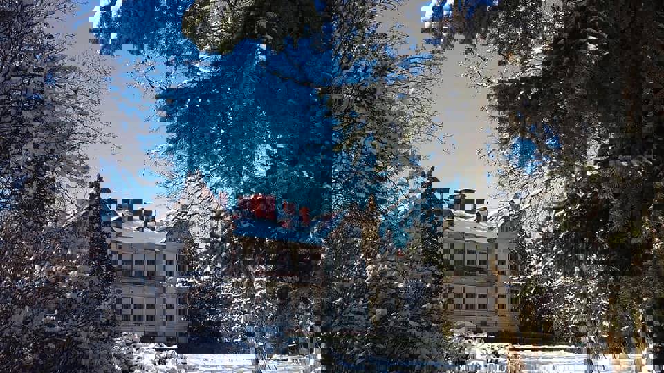 Корпус адміністрації Ботанічного саду та кафедра ботаніки, лісового і садово-паркового господарства