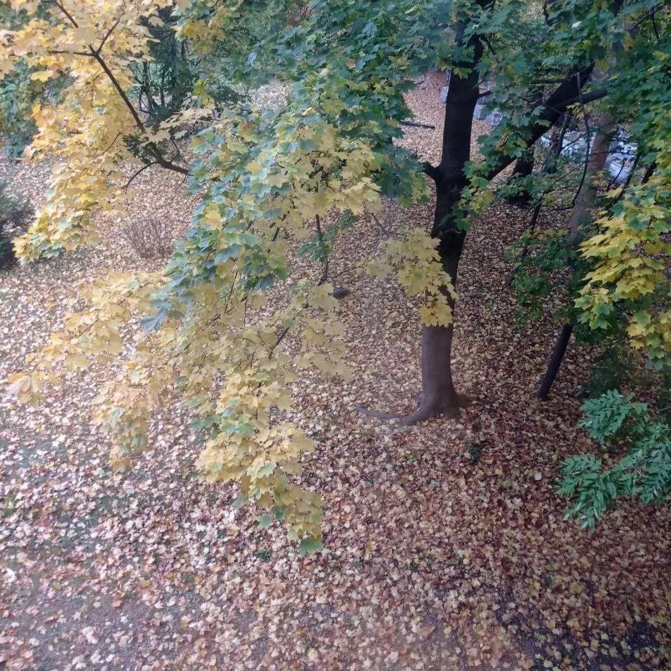 Бізнес- інкубатор